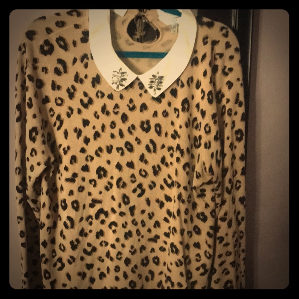 Removable collar sweater with tail attached